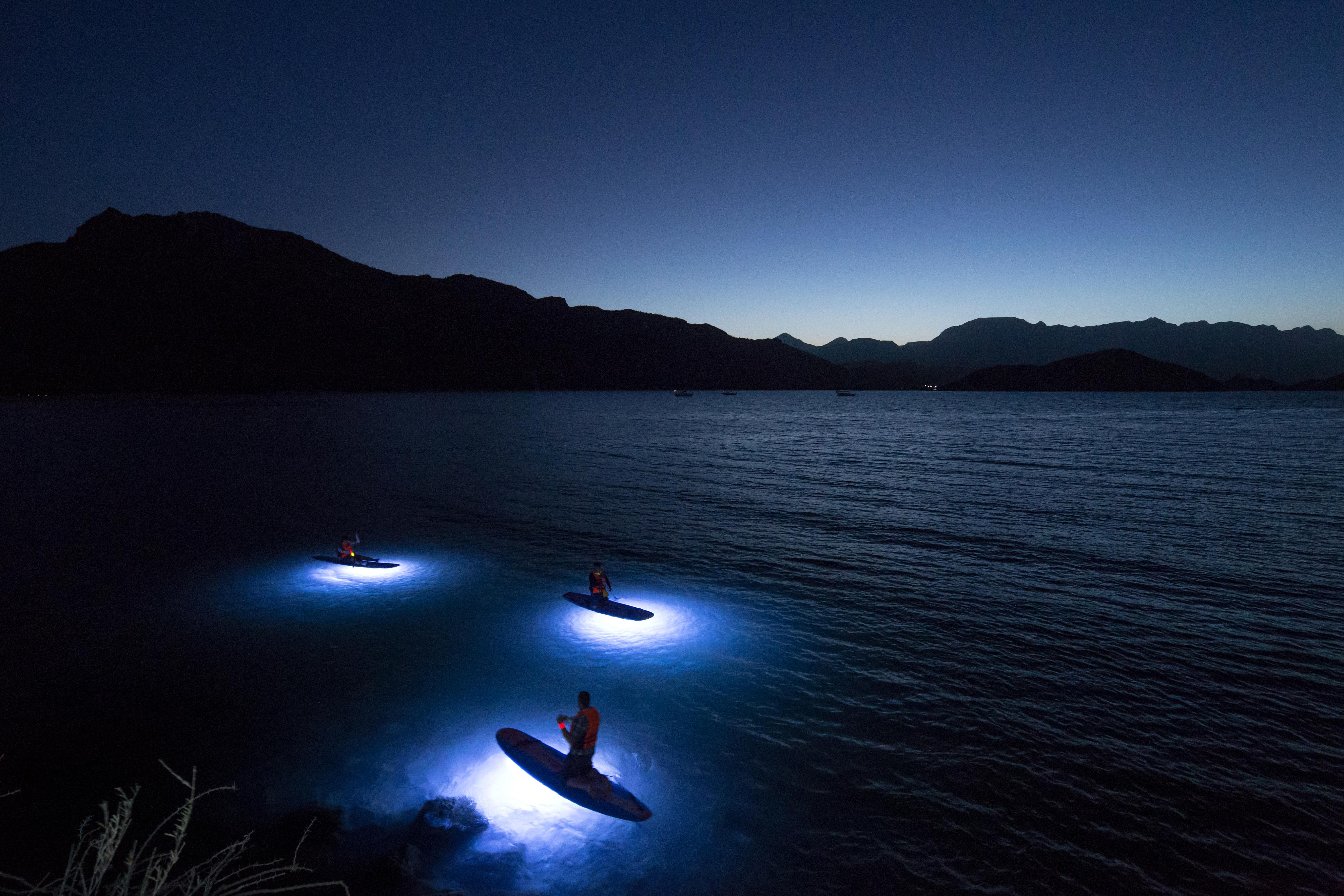 Villa Del Palmar At The Islands Of Loreto Loreto  Exterior foto